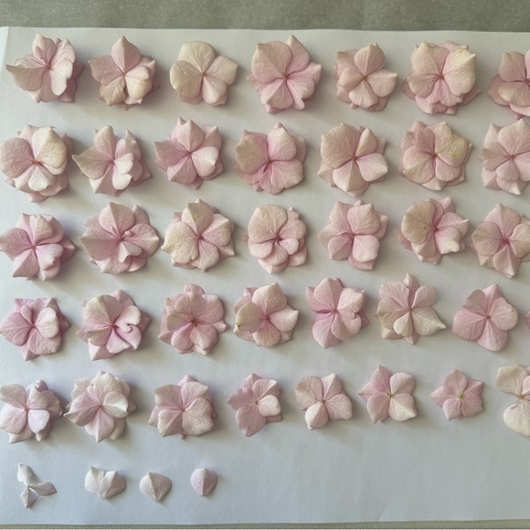 Real pressed flower art - hydrangea - Picture 6 of 8